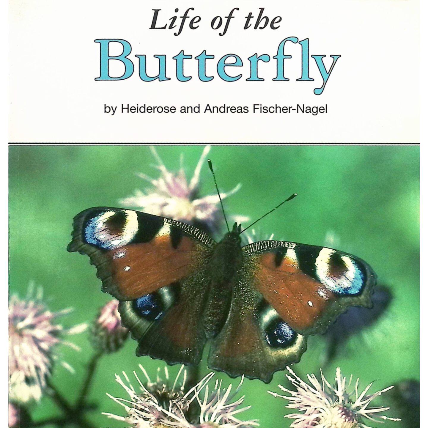 英语原版引进科普读物蝴蝶的一生自然科学亲子共读Life科普绘本德国作家海德罗斯和安德烈亚斯费舍尔纳格尔联合创作精美彩色图片