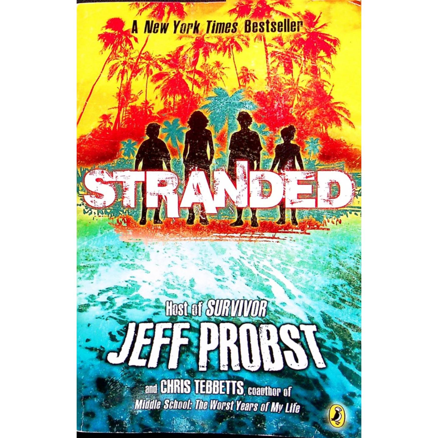 英文原版图书冒险生存青少年小