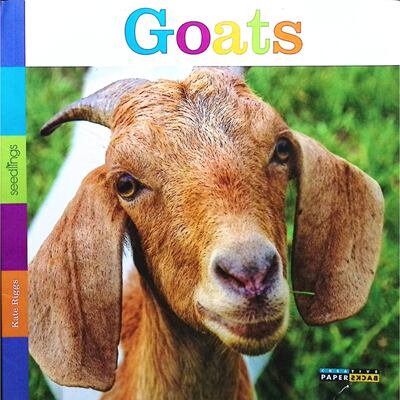 英文原版图书山羊科普英语绘