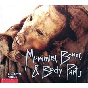 英语原版书木乃伊骸骨与身体部位青少年科普绘本Science人类学考古学历史知识适合1114岁对历史考古生物感兴趣的青少年阅读全彩