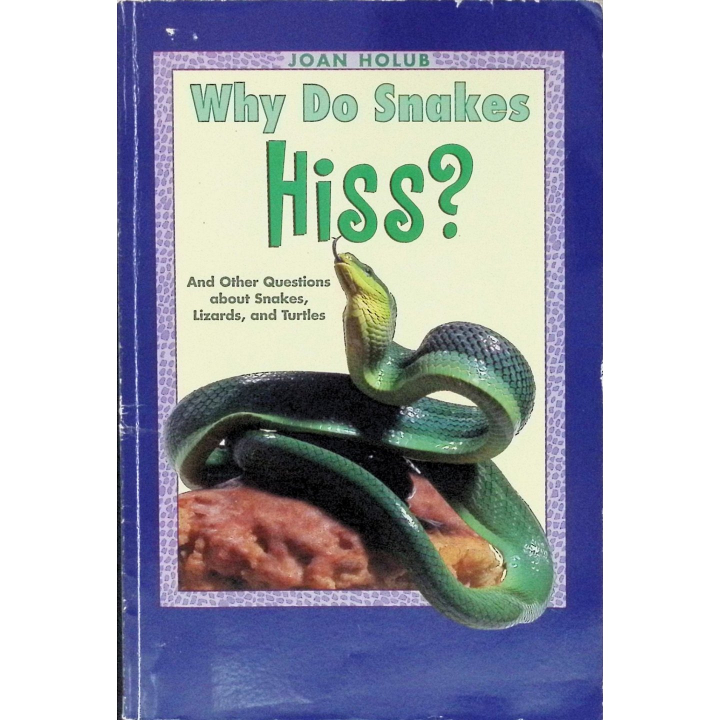 英文原版图书蛇类科普绘本