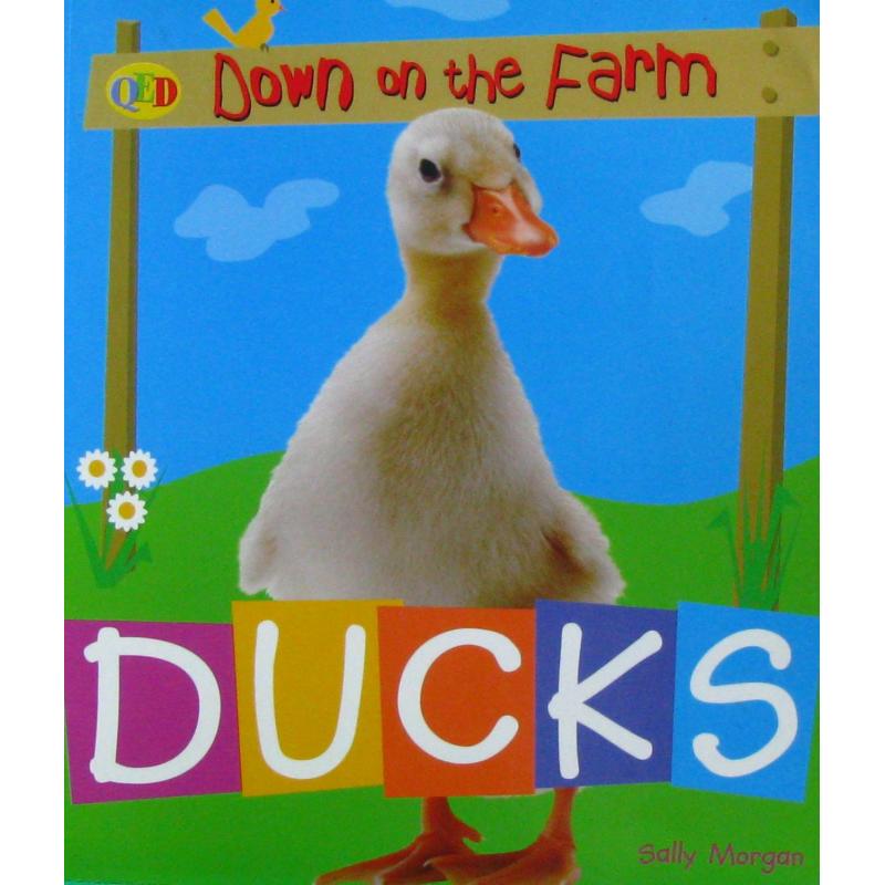 Down on the Farm Ducks by Sally Morgan平装QED Publishing从农场下来-鸭