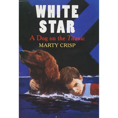 英文原版图书泰坦尼克号绘本