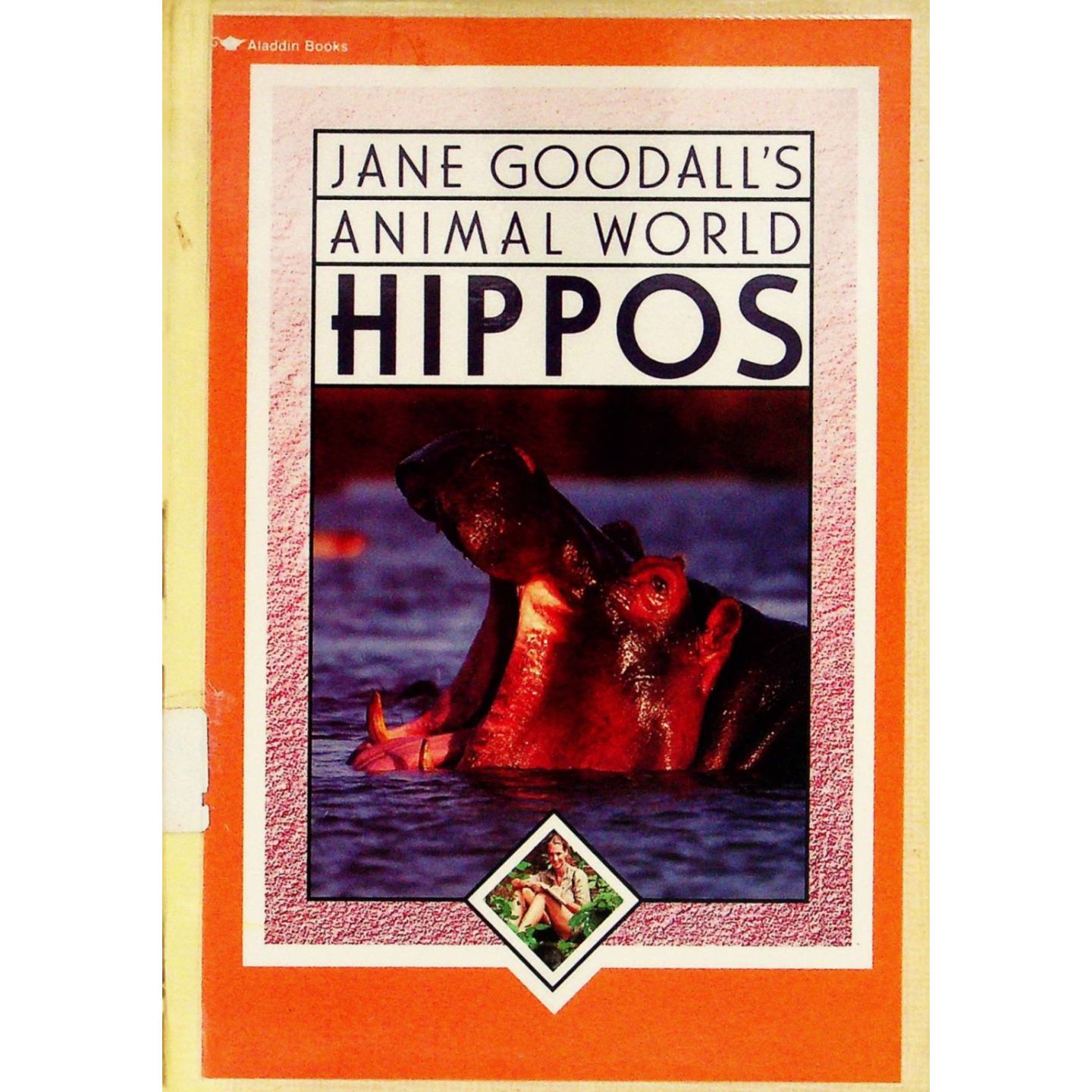 英文原版图书动物世界河马绘本