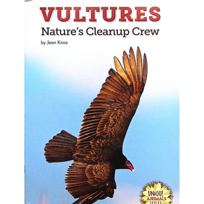 英文原版图书秃鹫科普绘本