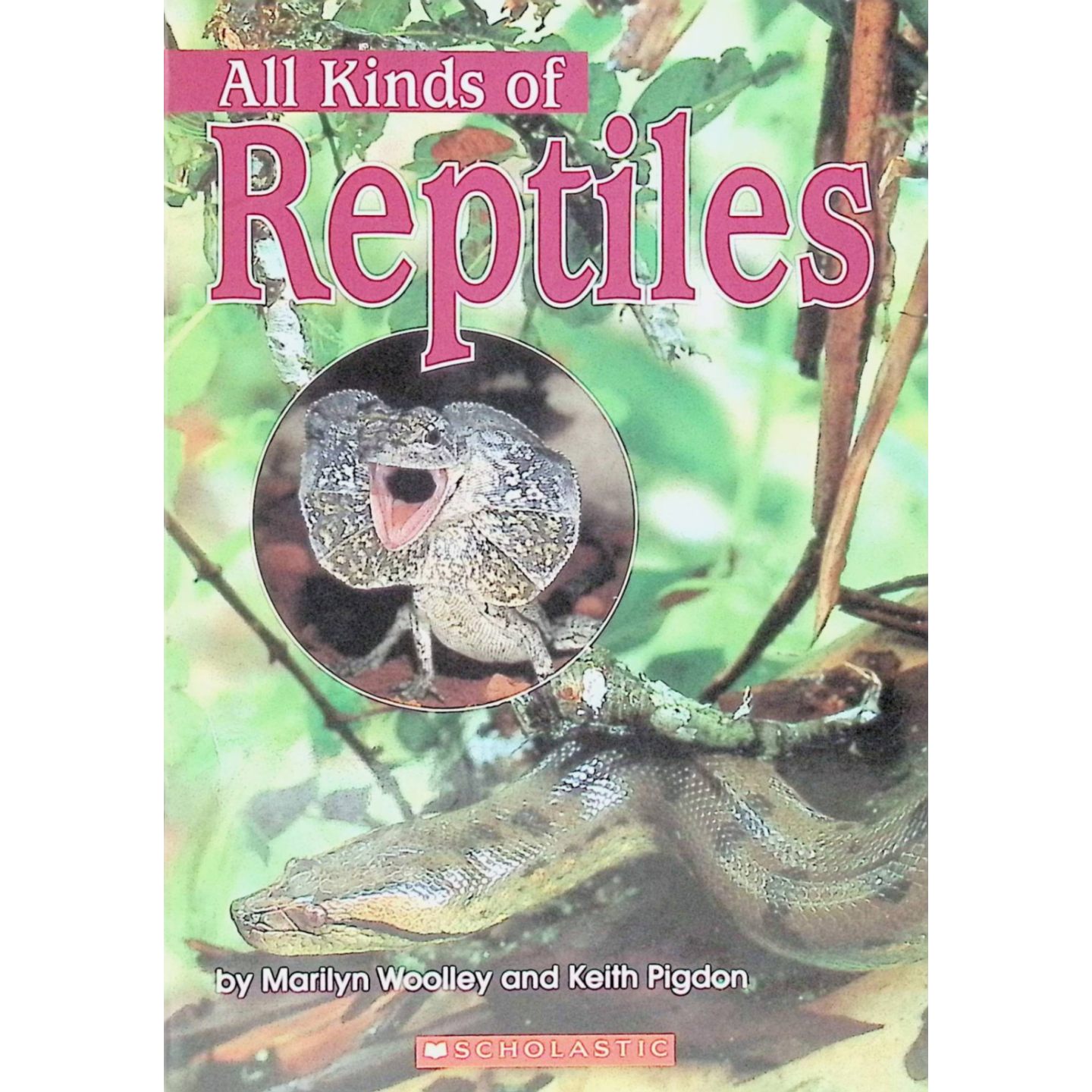 英文原版图书爬行动物科普绘本