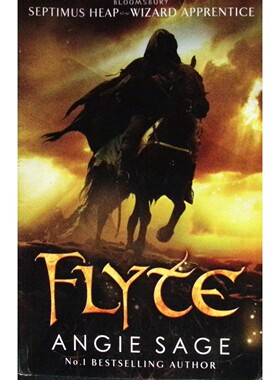 安吉塞奇赛普提默斯希普系列Flyte英语原版奇幻魔法章节书适合710岁儿童阅读的魔法冒险故事激发想象力培养勇气与责任感