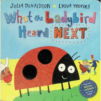 英文原版图书小瓢虫续集绘本