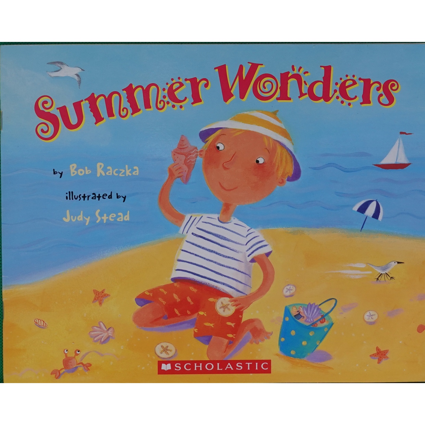 英文原版图书夏日奇观英语绘本