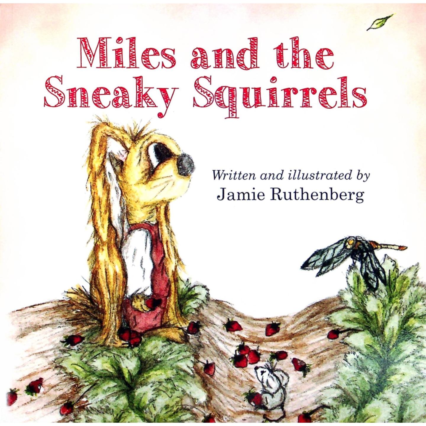 英文原版图书趣味动物绘本