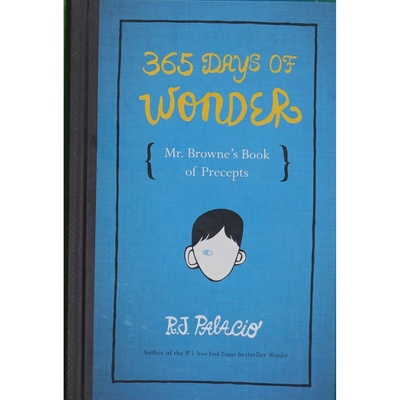 英文原版图书奇迹男孩励志续作