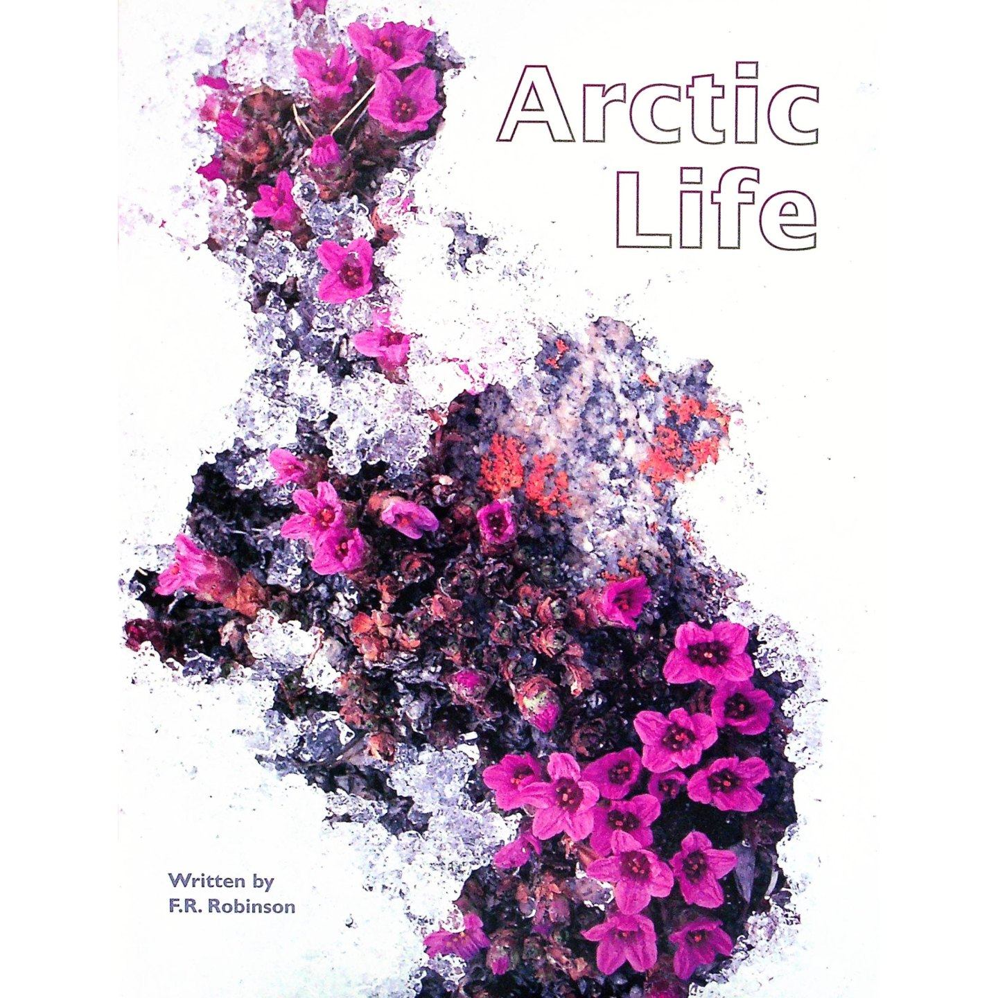 北极生命原版英语绘本自然科学类书籍适合小学生阅读的动物科普读物通过生动图片展示北极熊北极狐等动物生存方式激发孩子对自然