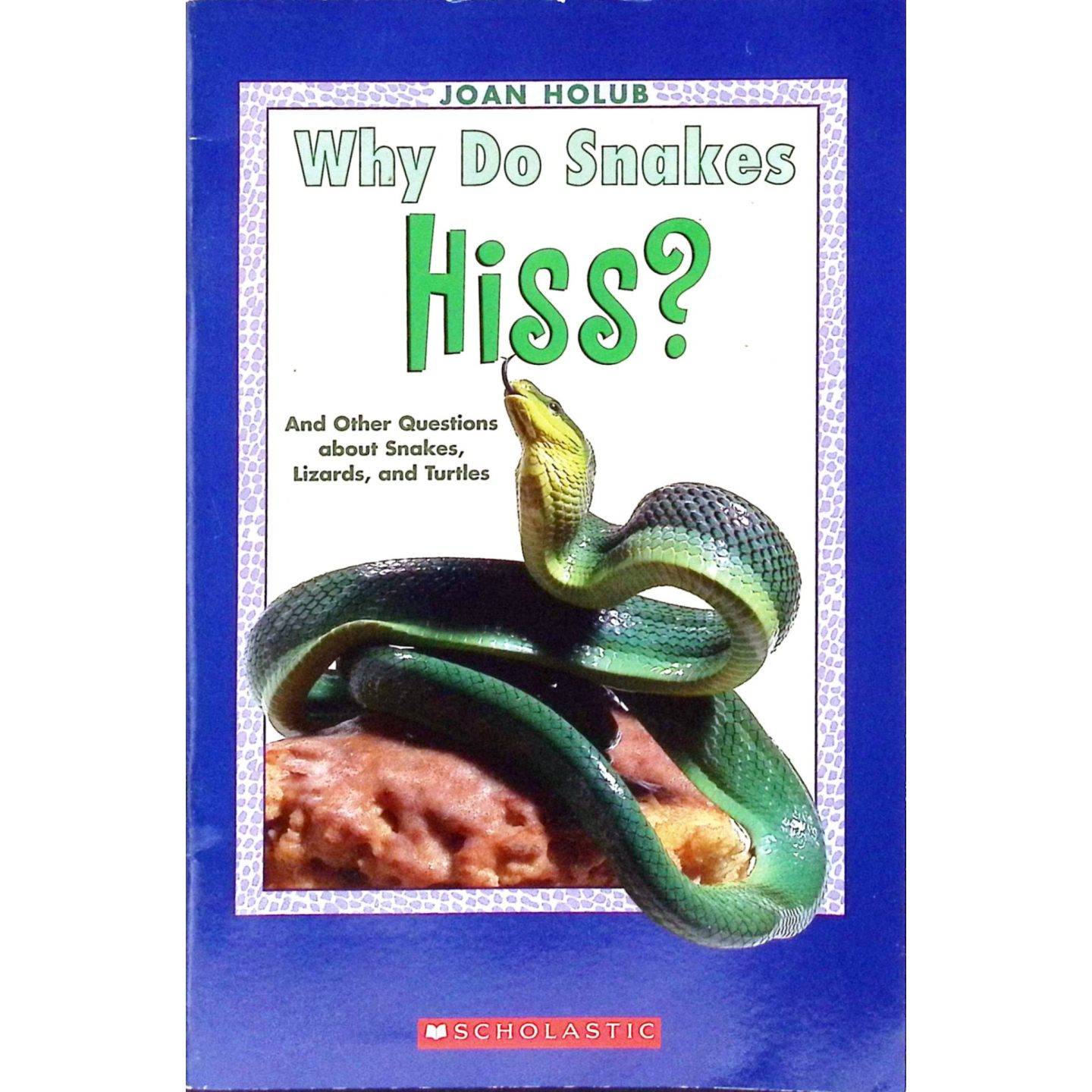 英文原版图书蛇类科普绘本