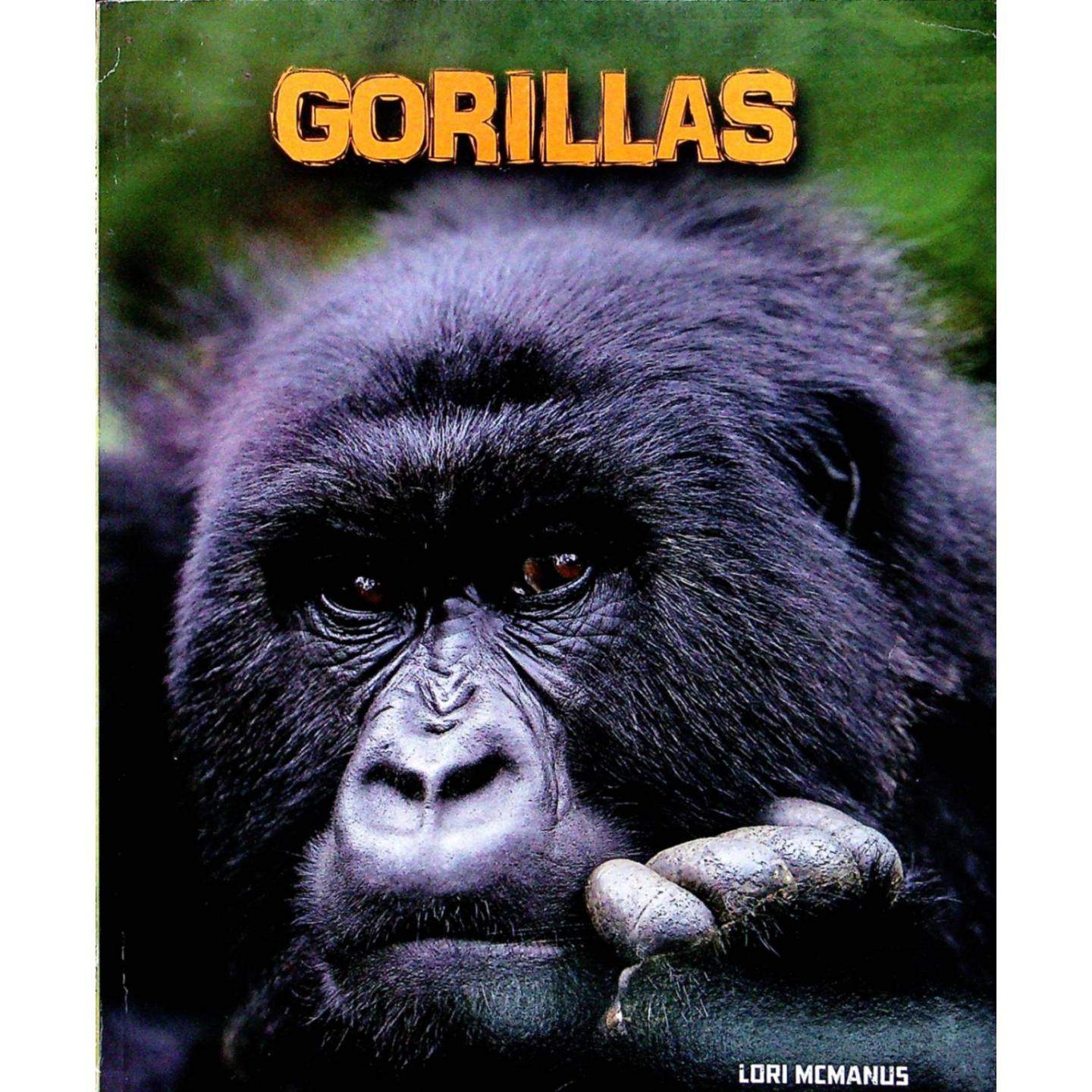 英语原版书GORILLAS灵长类动物系列科普读物适合710岁小学生阅读的非虚构自然科学读物通过生动图片和丰富信息介绍大猩猩的生物