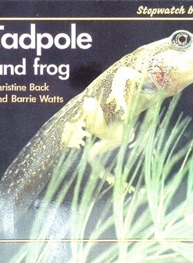 秒表图书原版书蝌蚪和青蛙英语启蒙自然科学绘本Stopwatch适合36岁儿童阅读通过精美图片和简洁文字展示青蛙生命周期激发孩子对
