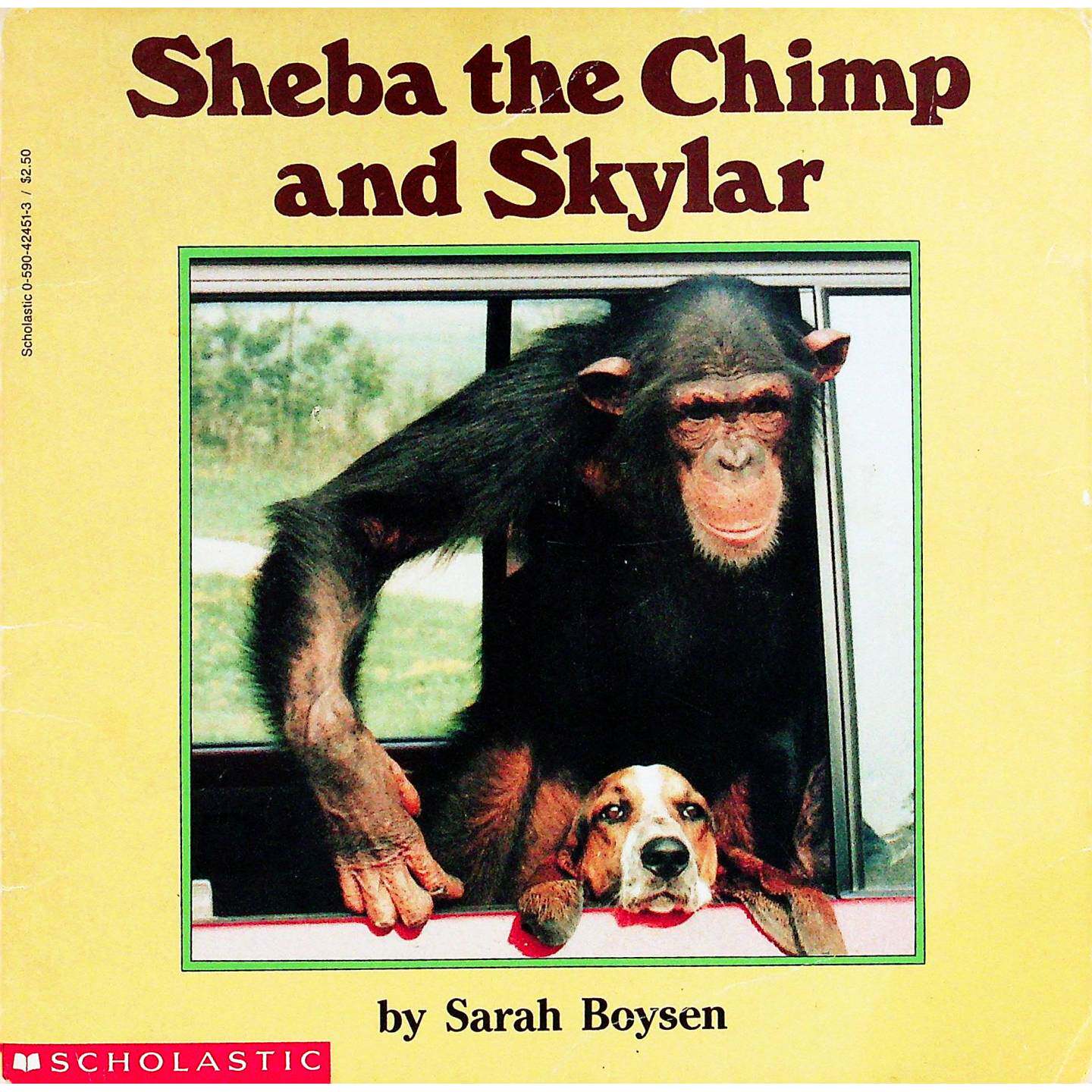 英语原版书黑猩猩舍巴和斯凯勒科普动物行为学亲子共读Storybook讲述科学家莎拉博伊森与黑猩猩舍巴的温馨故事帮助孩子了解动物