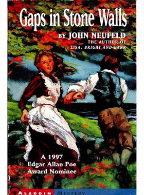 英语原版书阿拉丁平装本石墙中的空隙Gaps少年小说悬疑推理约翰纽费尔德著适合710岁儿童阅读讲述1880年马萨诸塞州玛莎葡萄园谋