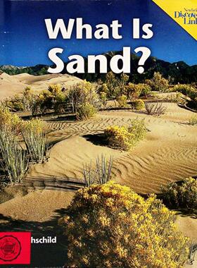 英语原版书探索链接系列WhatIsSand科普绘本沙子是什么自然科学适读710岁Newbridge出版社出版艾米丽罗斯柴尔德著通过生动图片和