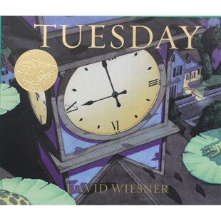 大卫威斯纳凯迪克金奖绘本Tuesday原版书奇幻英语亲子共读36岁无字绘本培养观察力想象力超现实主义艺术获奖作品