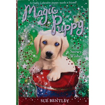 英文原版图书魔法小狗奇幻冒险