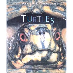英语原版书早期鸟类生物学系列Turtles海龟科普绘本适合710岁儿童阅读由安妮塔巴斯金萨尔茨伯格和艾伦萨尔茨伯格夫妻档儿童科