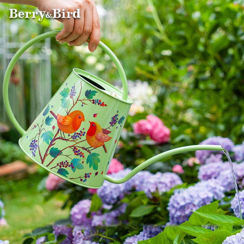 BerryBird长嘴浇花水壶家用多肉洒水壶英国bb园艺工具浇水壶神器
