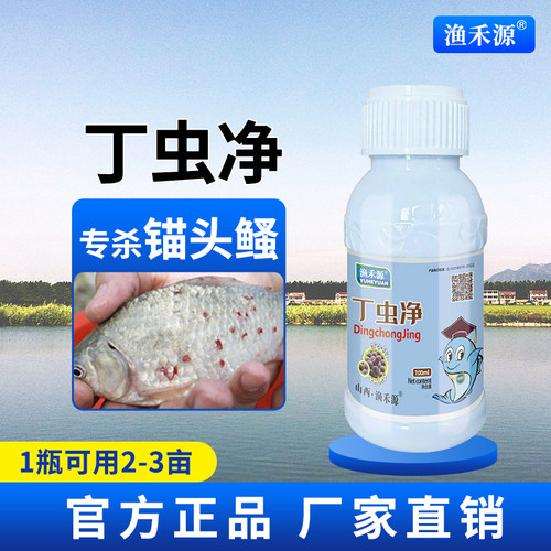 丁虫净鱼塘水产养殖锚头鳋