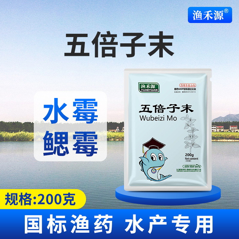 五倍子末水霉鳃霉收敛止血白毛水霉克星鱼塘水产养殖水库渔药