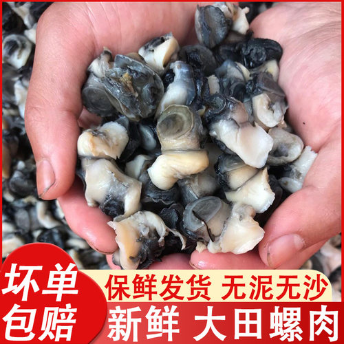 新鲜大田螺肉无沙无泥坏单包赔