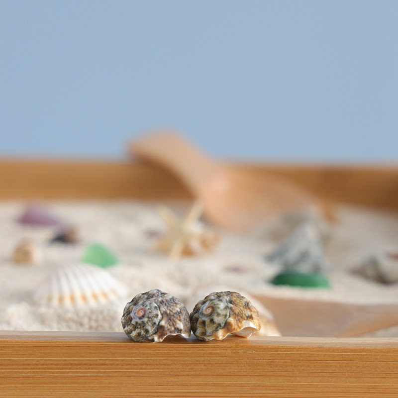 어린이 쉘 비치 장난감 도구 파기 모래 삽 스쿠핑 액션 선물 세트 몬테소리 CASA 손-눈 조정 교육 보조 장치