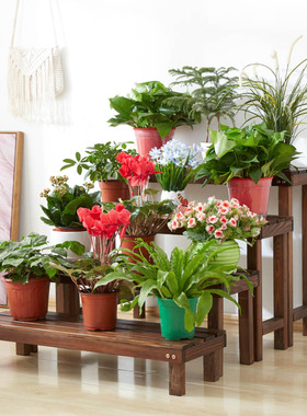 花架实木置物架户外防腐阶梯阳台落地式多肉室内外多层客厅花盆架