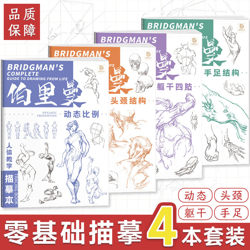 伯里曼人体教学描摹本 四册套装 速写人物描摹本 动态比例躯干四肢
