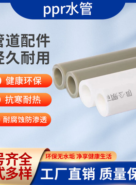 ppr冷热水管4分20自来水管家用热熔管材管件6分25 32 40水管接头