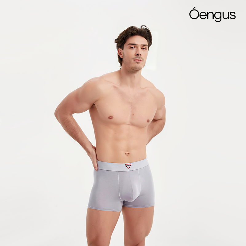 Oengus兰精莫代尔银灰色男士三角裤性感瘾诱三角裤男透气运动吸水