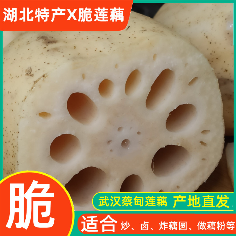 脆藕湖北特产清水九孔糯米新鲜