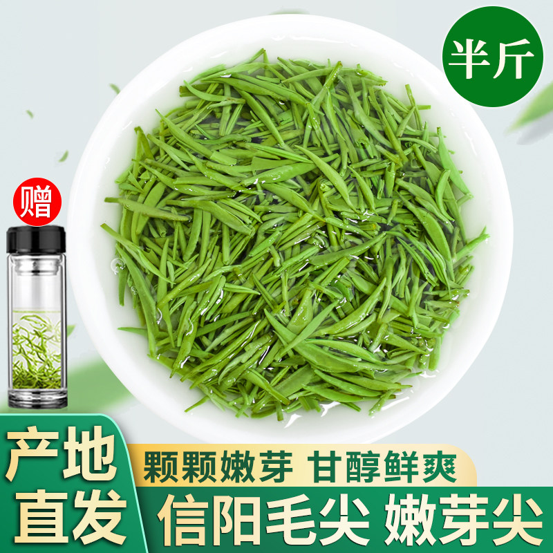 2026新茶信阳毛尖特级全芽尖嫩芽