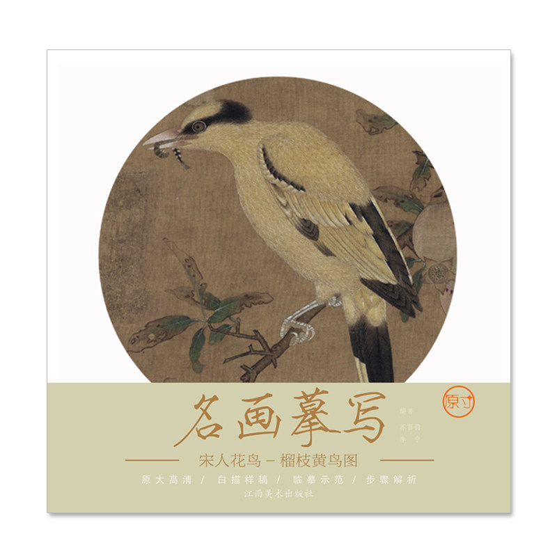 名画摹写 宋人花鸟 榴枝黄鸟图 零基础初学入门学生成人自学白描样稿