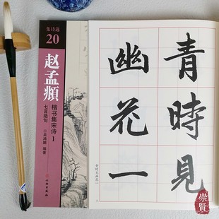 初学楷书临摹范本 欧阳修 苏轼 集诗选20赵孟頫楷书集宋诗1七言绝句 等 全文6cm放大简体旁注 李清照 吴鸿鹏编著 诗词原文加译文