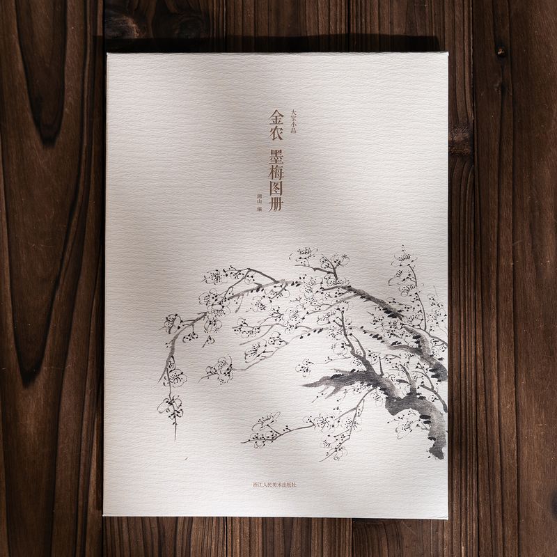 大家小品 金农墨梅图册16开22帧单片散页装帧 历代名家册页精选鉴赏传统中国画技法浙江人民美术出版社