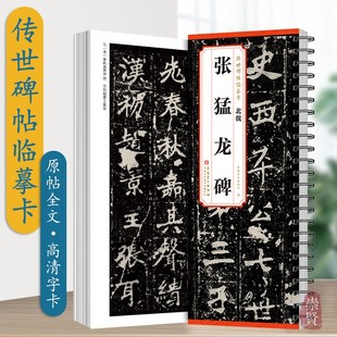 传世碑帖临摹卡北魏张猛龙碑历代碑帖精粹线圈字卡书法临摹练字赏析魏碑楷书毛笔字帖高清附注释近距离临帖安徽美术出版社