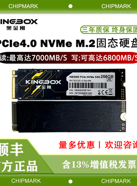 KINGBOX黑金刚 固态硬盘m2 NVMe协议PCIe4.0 256GB固态硬盘1T固态