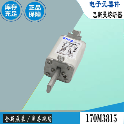 巴斯曼170M3813170M3814保险丝