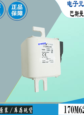 170M6243 170M6244 170M6245巴斯曼全新电子熔断器Bussmann保险丝
