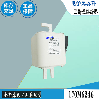 巴斯曼170M6246170M6247保险丝