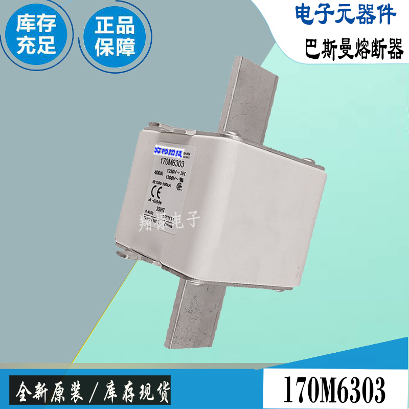 巴斯曼170M6309170M6310保险丝