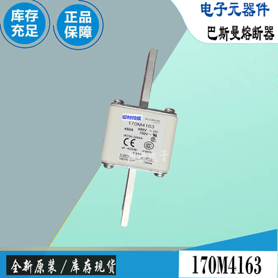 巴斯曼170M4194170M4195保险丝