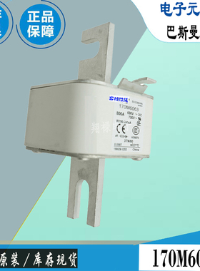 170M5068 170M6058 170M6059巴斯曼全新电子熔断器Bussmann保险丝
