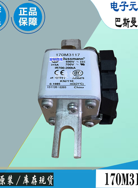 170M3115 170M3116 170M3117巴斯曼全新电子熔断器Bussmann保险丝