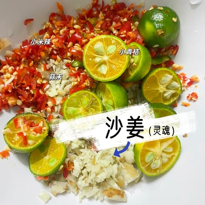 【双滘沙姜】椰子鸡蘸料阳春沙姜新鲜嫩姜山奈现挖生姜土特产特香