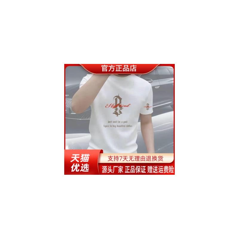 盛辰祥服装轻奢新品爸爸款夏季字母印花短袖T恤2026男士高端上衣
